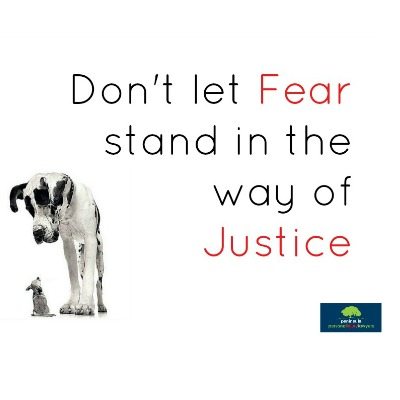 quote-fear-justice-square.jpg